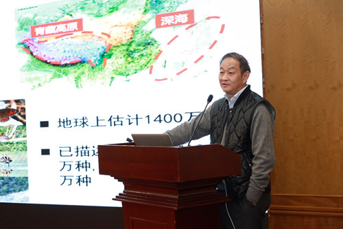 电子游戏app下载安装