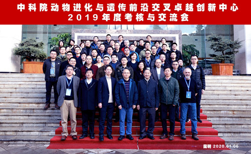 电子游戏app下载安装