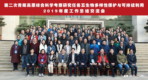 电子游戏app下载安装