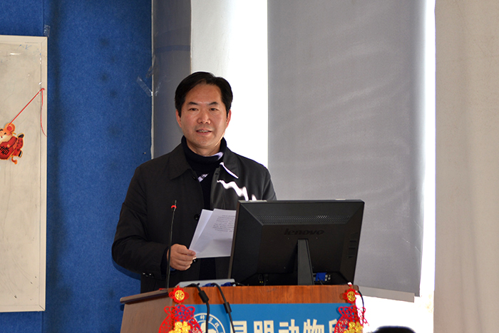 电子游戏app下载安装