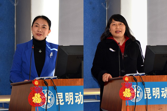 电子游戏app下载安装