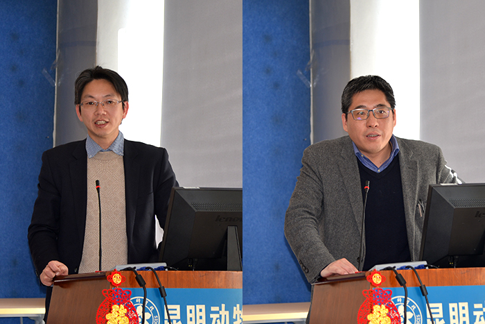 电子游戏app下载安装