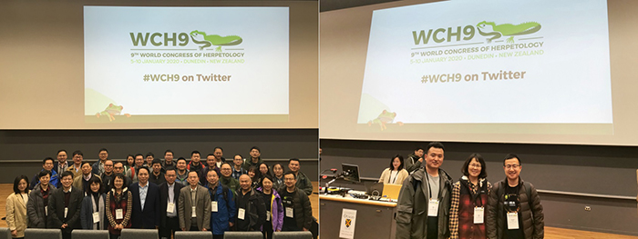 电子游戏app下载安装