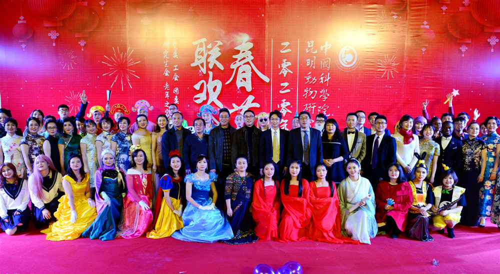 电子游戏app下载安装