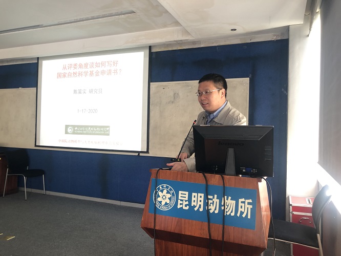 电子游戏app下载安装