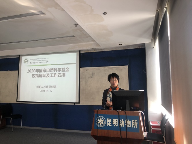 电子游戏app下载安装