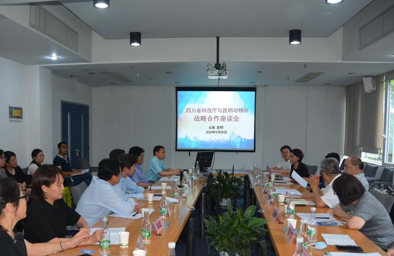 电子游戏app下载安装