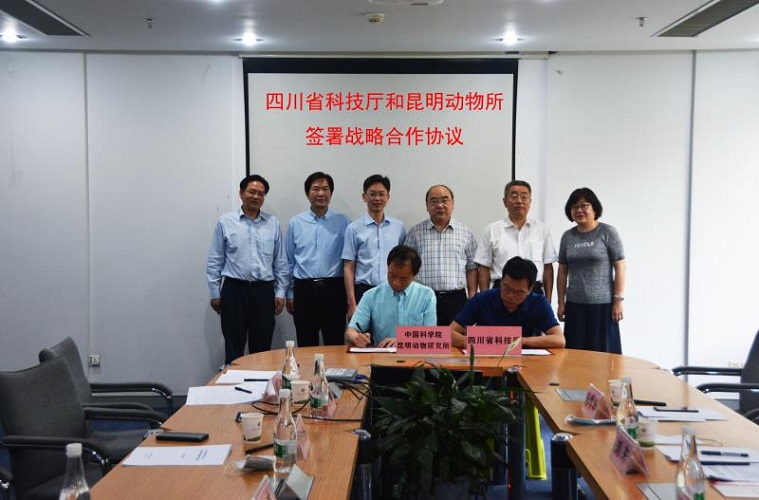 电子游戏app下载安装