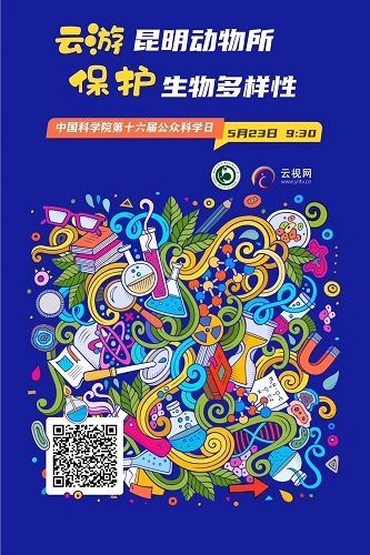 电子游戏app下载安装