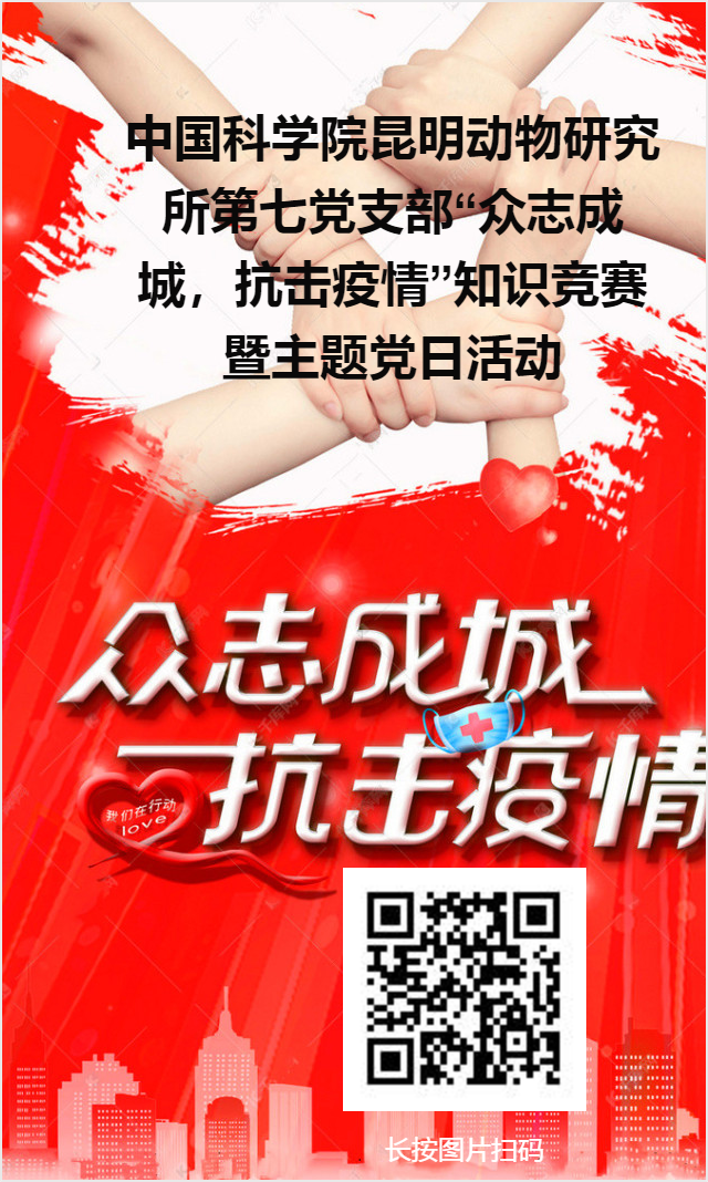 电子游戏app下载安装