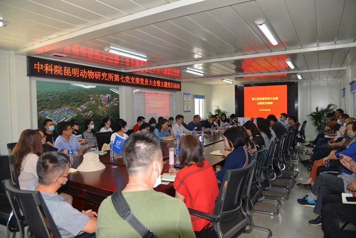 电子游戏app下载安装