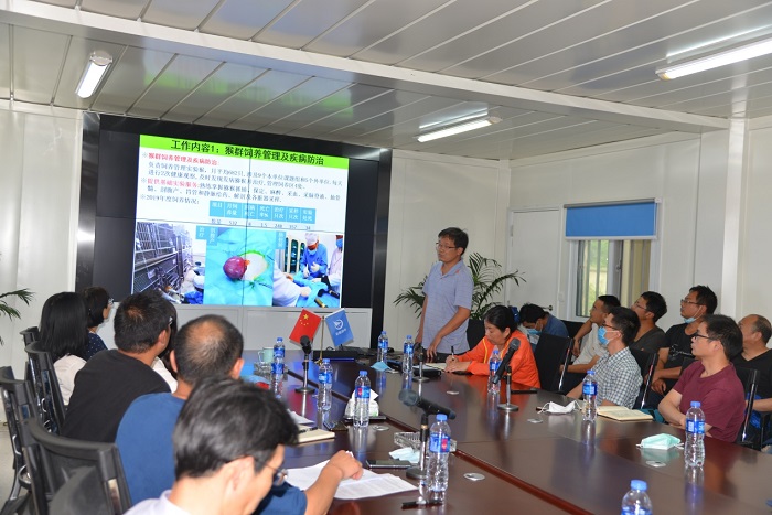 电子游戏app下载安装