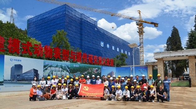 电子游戏app下载安装