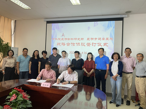 电子游戏app下载安装