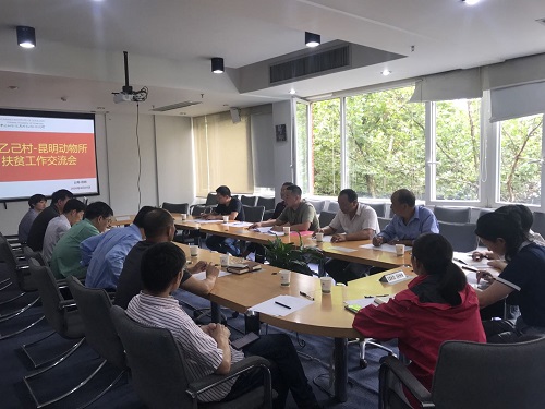 电子游戏app下载安装