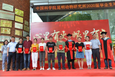 电子游戏app下载安装