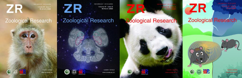 电子游戏app下载安装