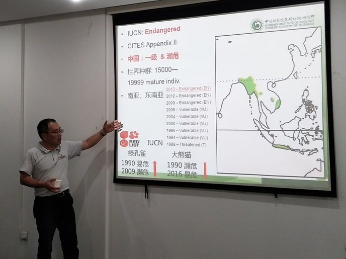 电子游戏app下载安装