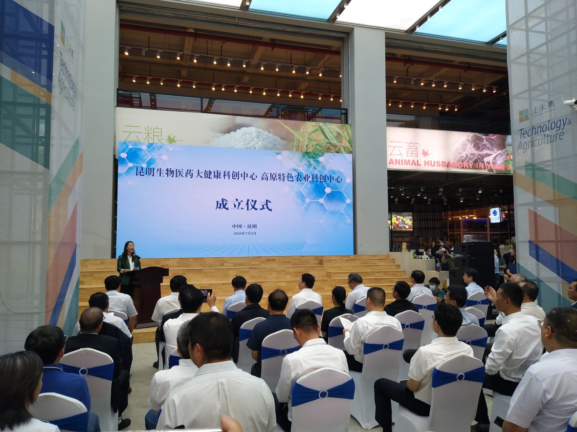 电子游戏app下载安装