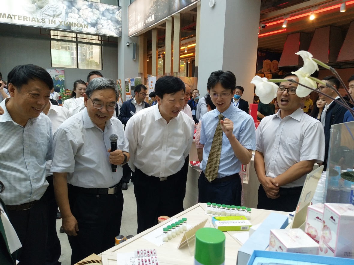 电子游戏app下载安装