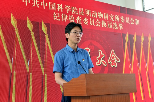 电子游戏app下载安装