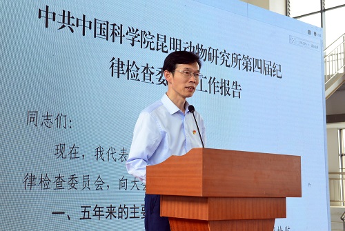 电子游戏app下载安装