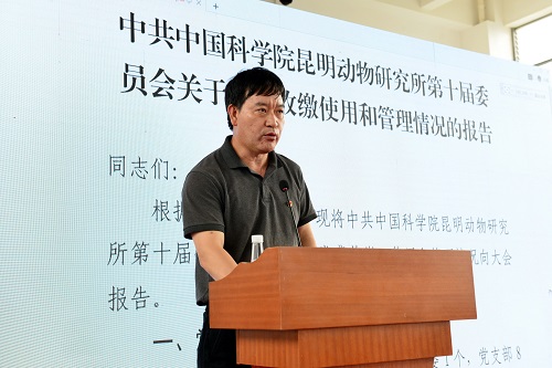 电子游戏app下载安装