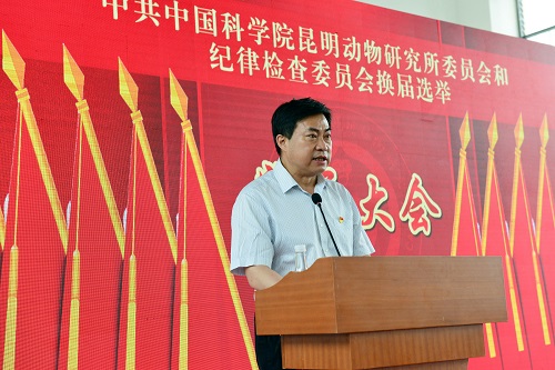 电子游戏app下载安装