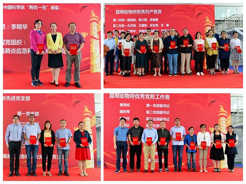 电子游戏app下载安装