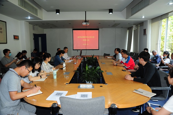 电子游戏app下载安装