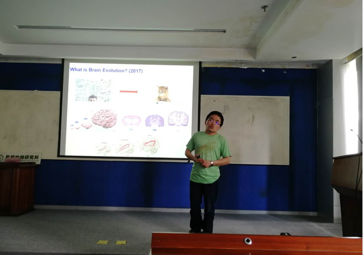 电子游戏app下载安装