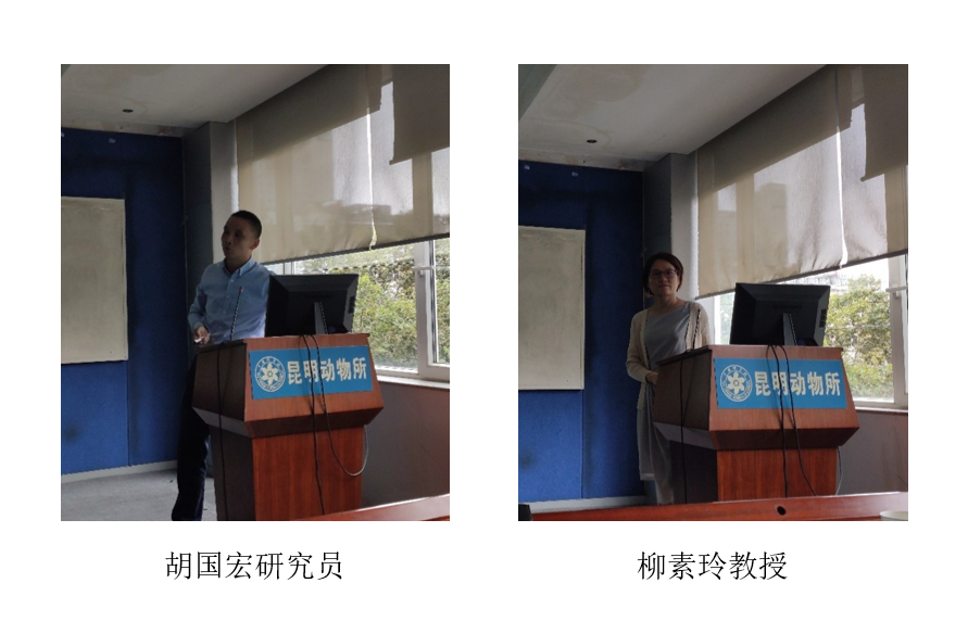 电子游戏app下载安装