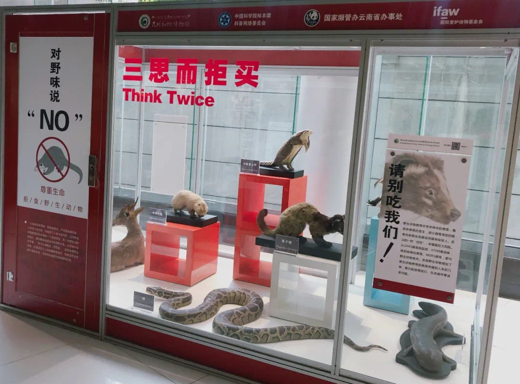 电子游戏app下载安装