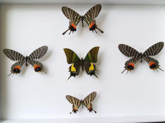 电子游戏app下载安装