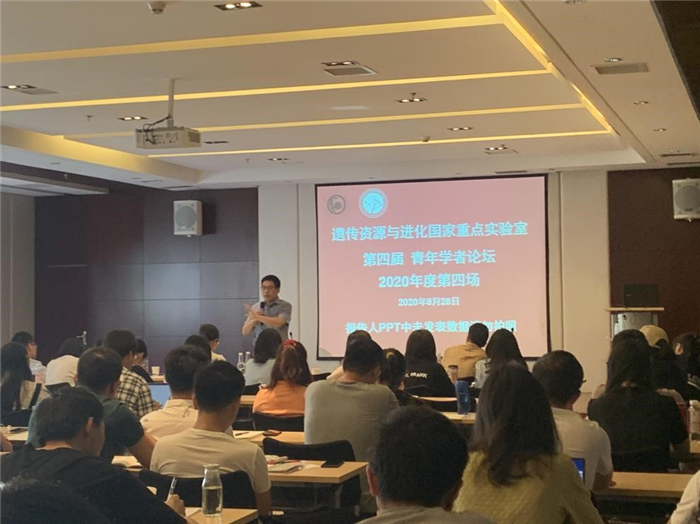 电子游戏app下载安装