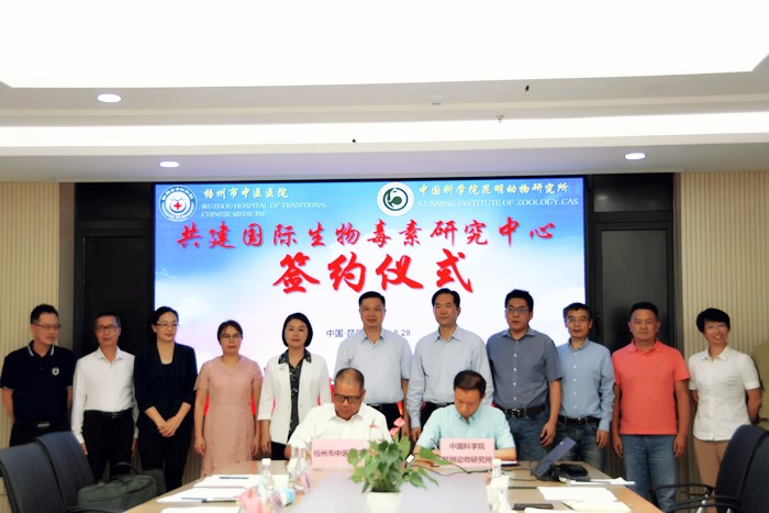 电子游戏app下载安装