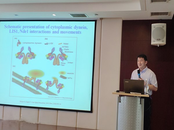 电子游戏app下载安装