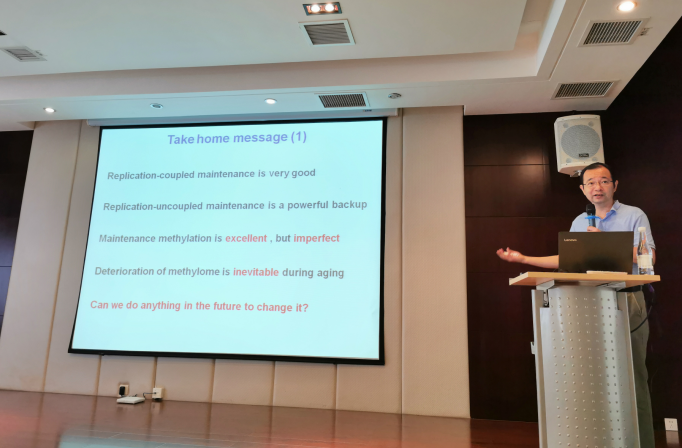 电子游戏app下载安装