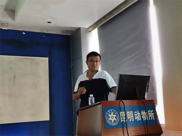 电子游戏app下载安装