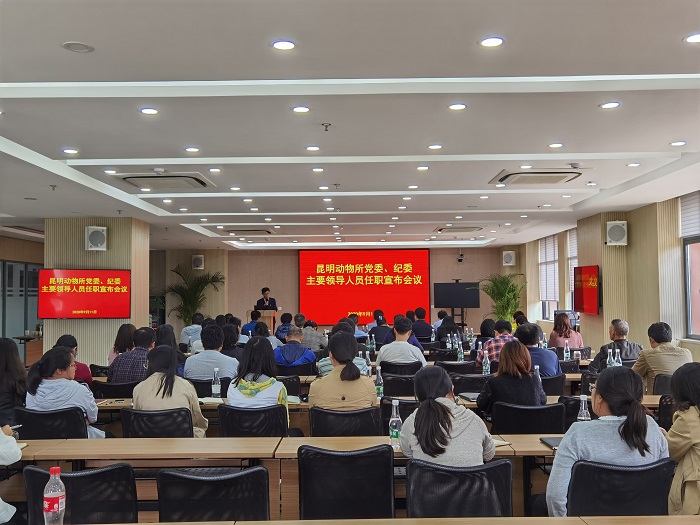 电子游戏app下载安装