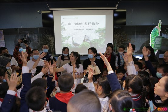 电子游戏app下载安装