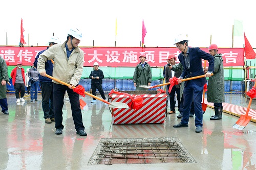 电子游戏app下载安装