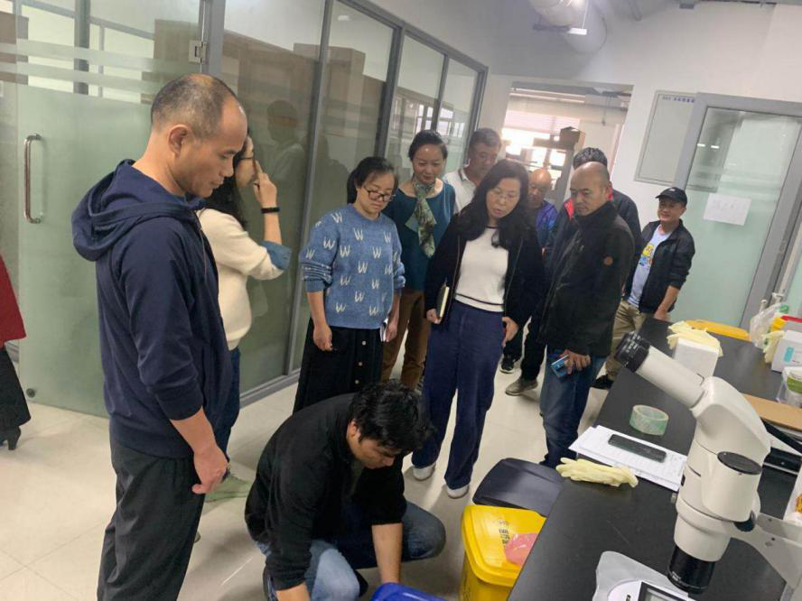 电子游戏app下载安装