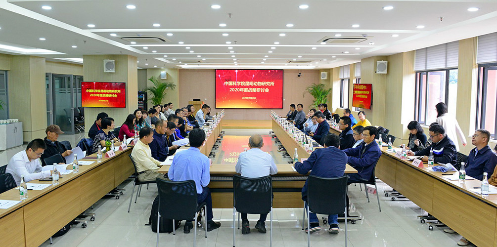 电子游戏app下载安装