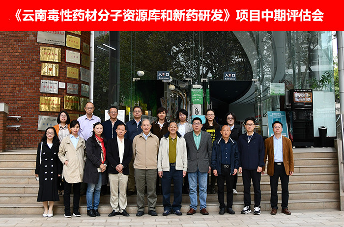 电子游戏app下载安装