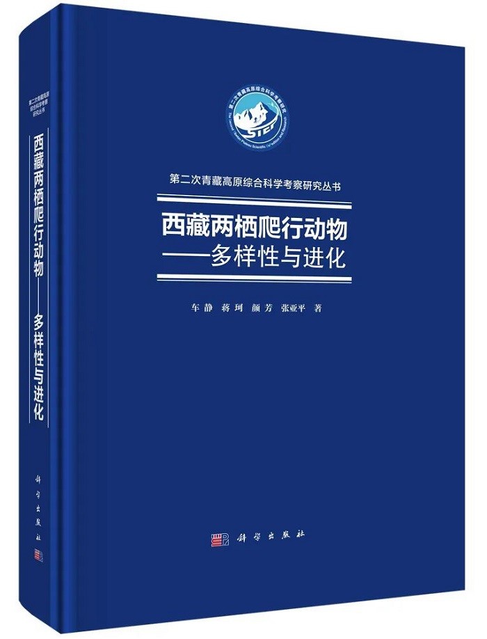 电子游戏app下载安装