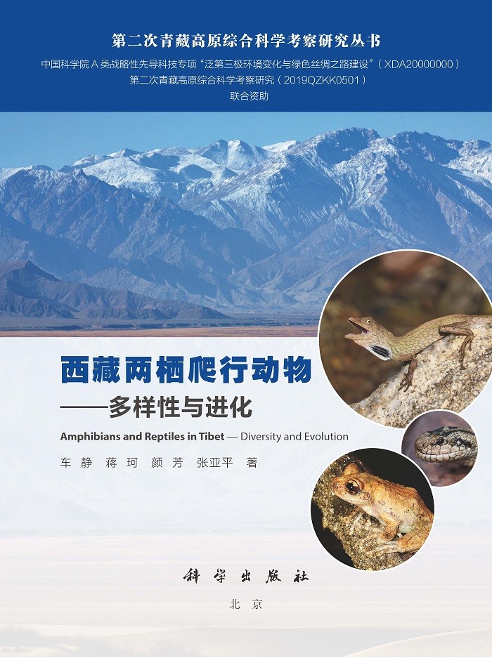 电子游戏app下载安装