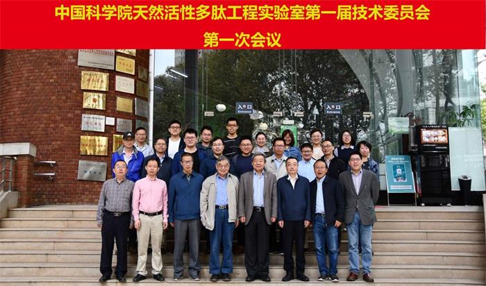 电子游戏app下载安装