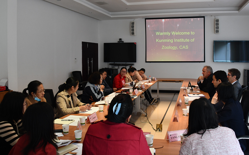 电子游戏app下载安装