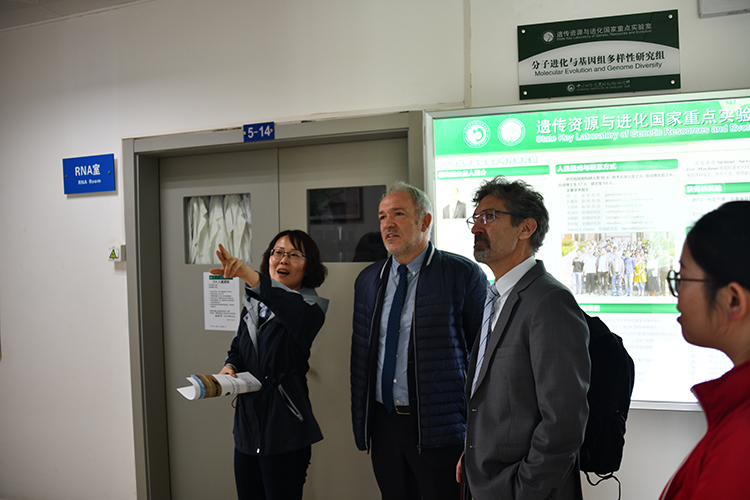 电子游戏app下载安装